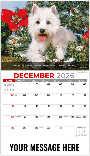 Dogs 2026 December