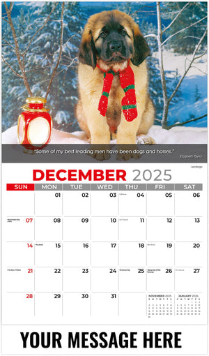 Dogs 2026 December