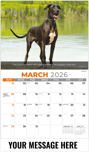 Dogs 2026 March