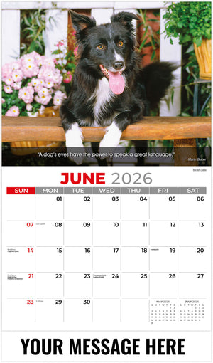 Dogs 2026 June