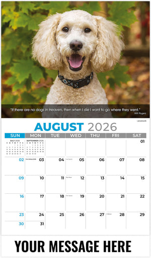 Dogs 2026 August