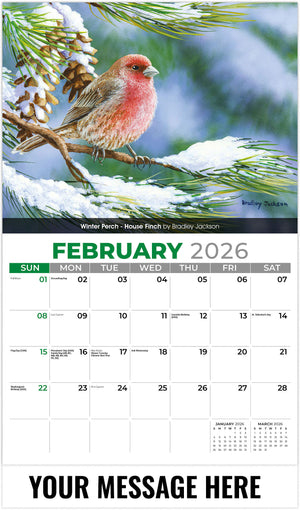 Garden-Birds 2026 February