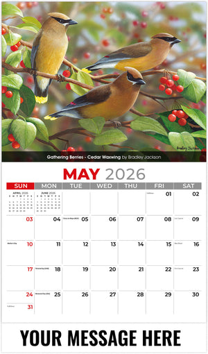 Garden-Birds 2026 May