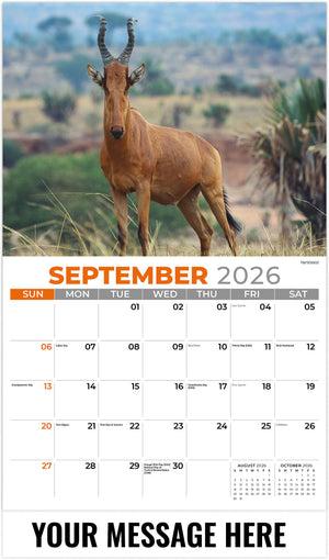 International-Wildlife 2026 September