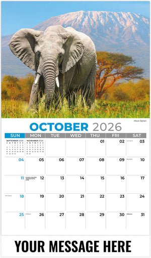 International-Wildlife 2026 October