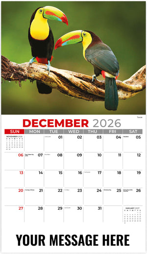 International-Wildlife 2026 December