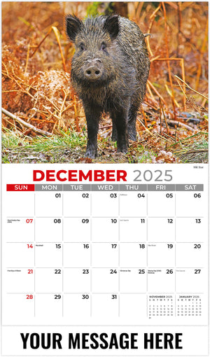 International-Wildlife 2026 December