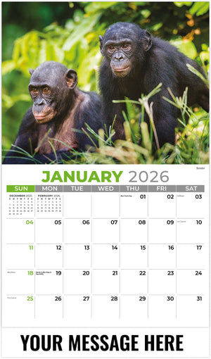 International-Wildlife 2026 January