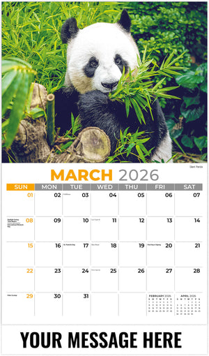 International-Wildlife 2026 March