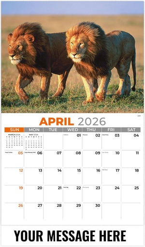 International-Wildlife 2026 April