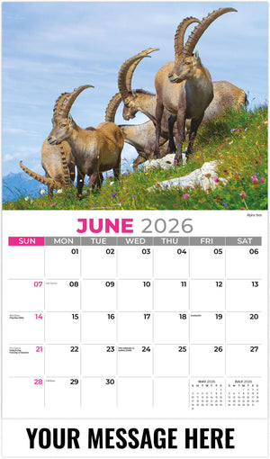 International-Wildlife 2026 June