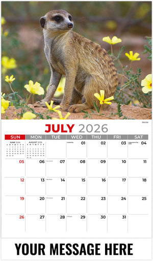 International-Wildlife 2026 July