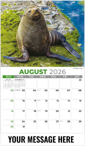 International-Wildlife 2026 August