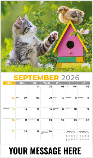 Kittens 2026 September