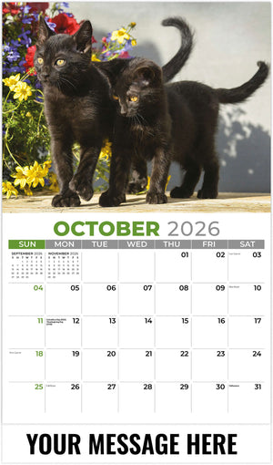 Kittens 2026 October