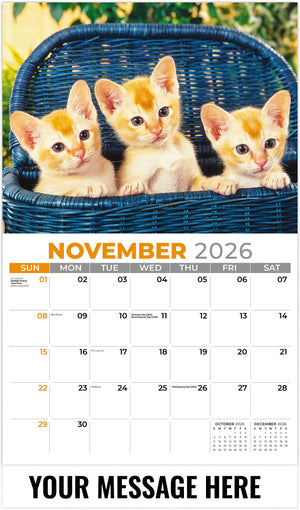 Kittens 2026 November