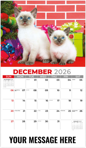 Kittens 2026 December