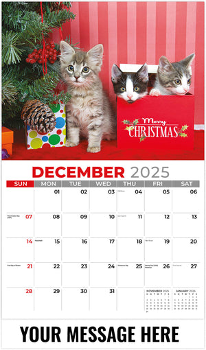 Kittens 2026 December