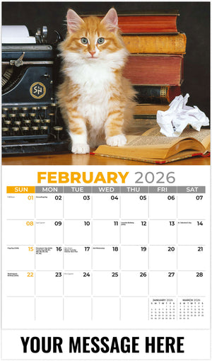 Kittens 2026 February