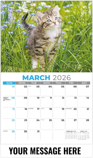 Kittens 2026 March