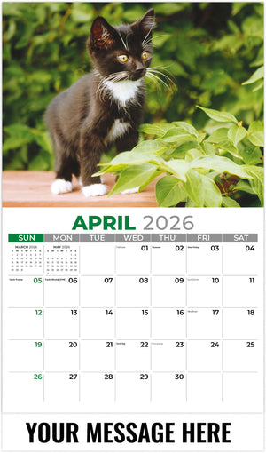 Kittens 2026 April