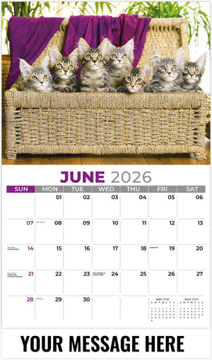 Kittens 2026 June