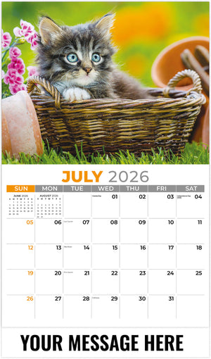 Kittens 2026 July