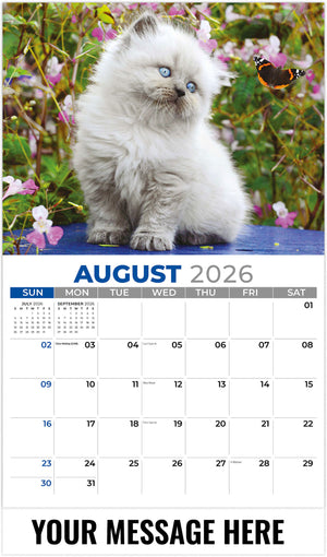 Kittens 2026 August