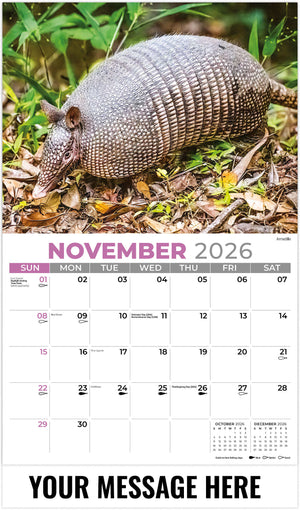 NA-Wildlife 2026 November