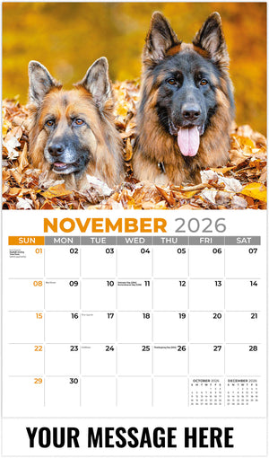 Pets 2026 November