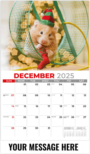 Pets 2026 December