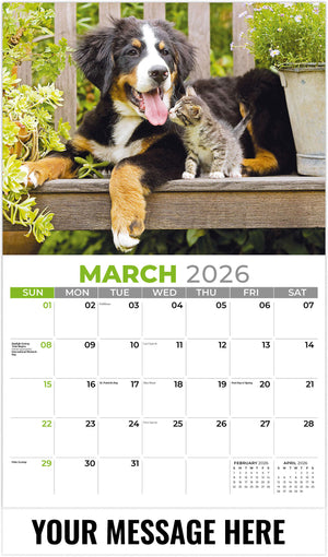 Pets 2026 March