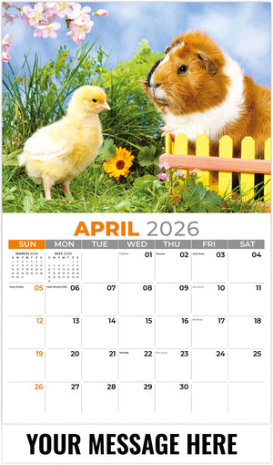 Pets 2026 April