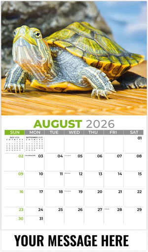 Pets 2026 August