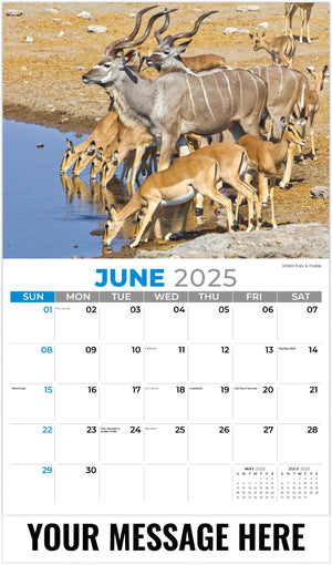 Galleria International Wildlife - 2025 Promotional Calendar