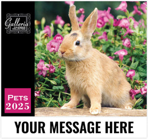 Galleria Pets - 2025 Promotional Calendar