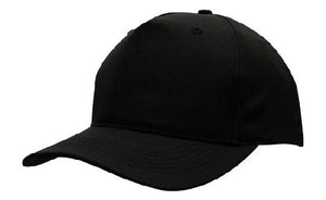 5 Panel Budget Cap