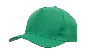 5 Panel Budget Cap