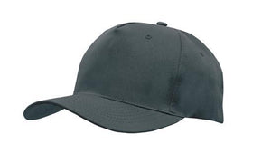 5 Panel Budget Cap