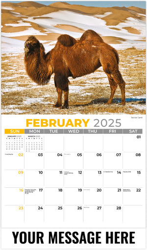 Galleria International Wildlife - 2025 Promotional Calendar