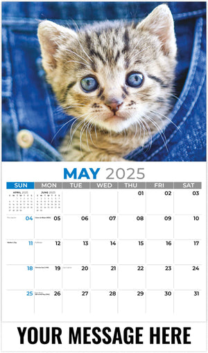 Galleria Kittens - 2025 Promotional Calendar