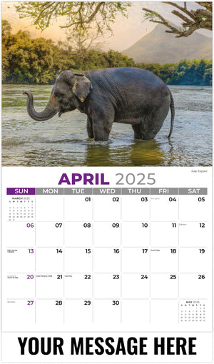 Galleria International Wildlife - 2025 Promotional Calendar