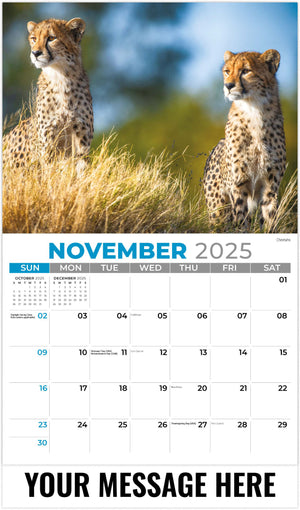 Galleria International Wildlife - 2025 Promotional Calendar