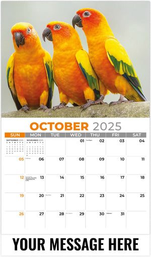 Galleria Pets - 2025 Promotional Calendar