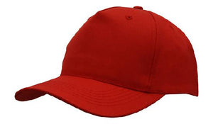 5 Panel Budget Cap