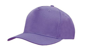 5 Panel Budget Cap