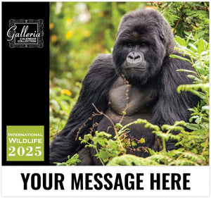 Galleria International Wildlife - 2025 Promotional Calendar