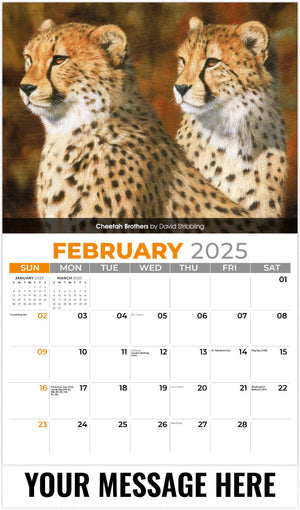 Galleria Wildlife Portraits - 2025 Promotional Calendar