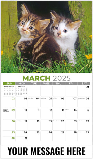 Galleria Kittens - 2025 Promotional Calendar